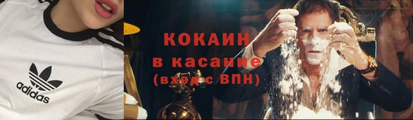 гидра Абаза