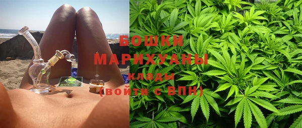 гидра Абаза