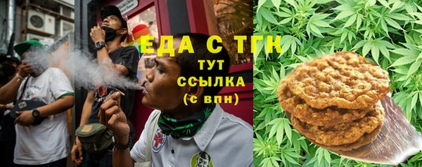 гидра Абаза