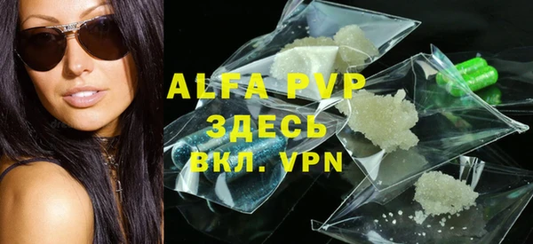 гидра Абаза