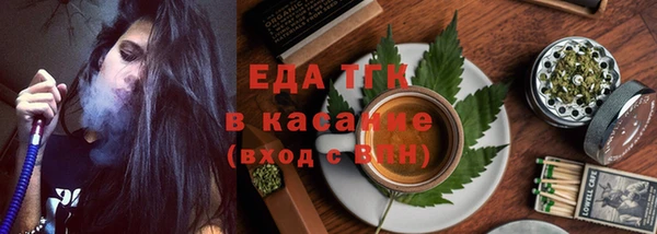 гидра Абаза