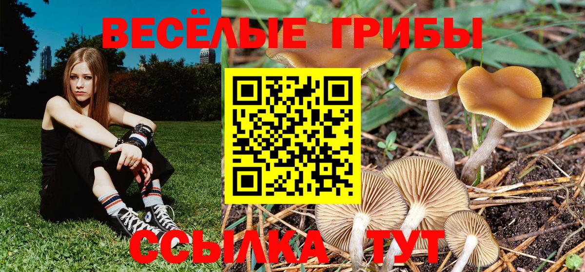 Иваново  Галлюциногенные грибы Psilocybe  где продают   Галлюциногенные грибы мухоморы  Вход с VPN 